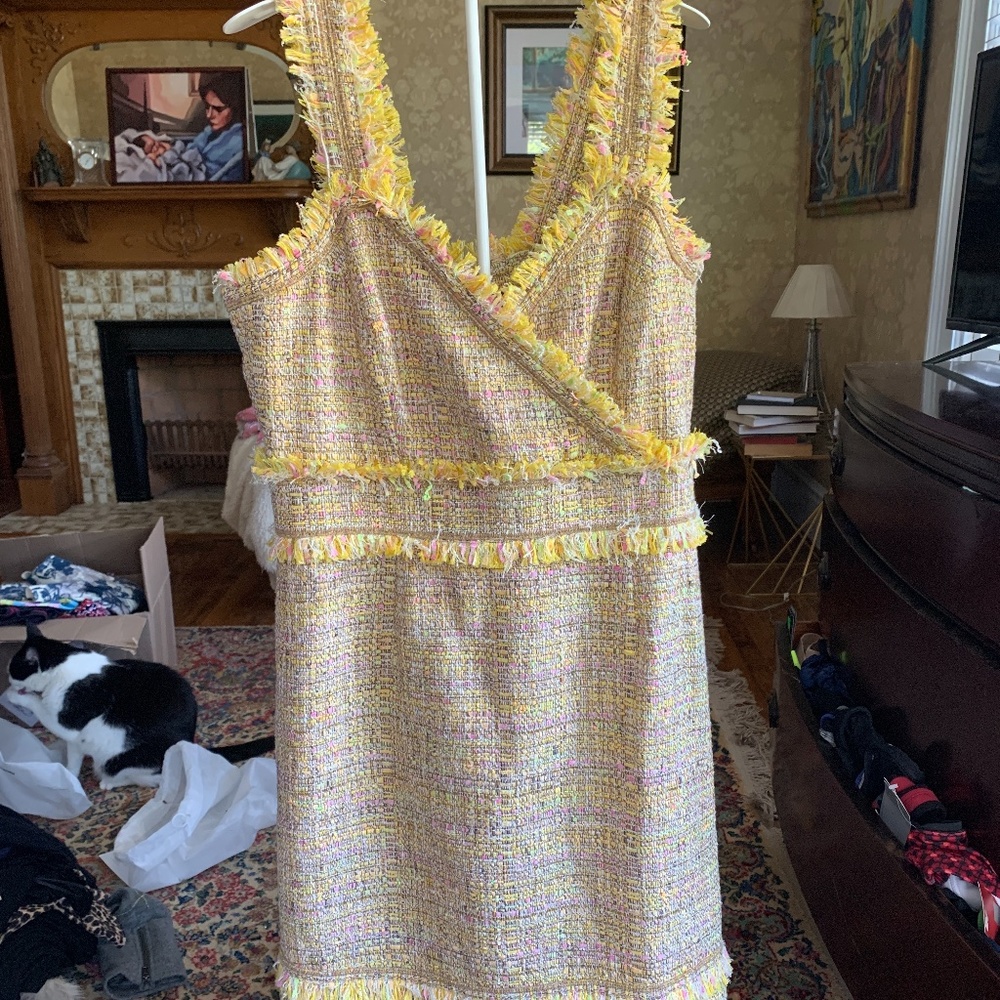 Worth‎ New York strapped fringe dress. Never worn. Retail 170